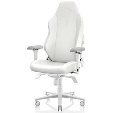 Secretlab Chairs