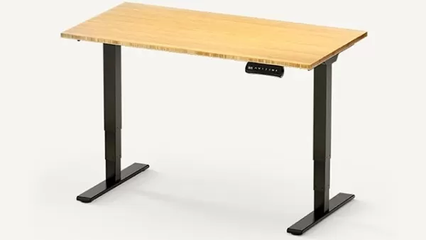 Flexispot E5 elétrico em pé
