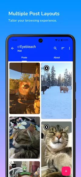 Infinity for Reddit 스크린샷 1