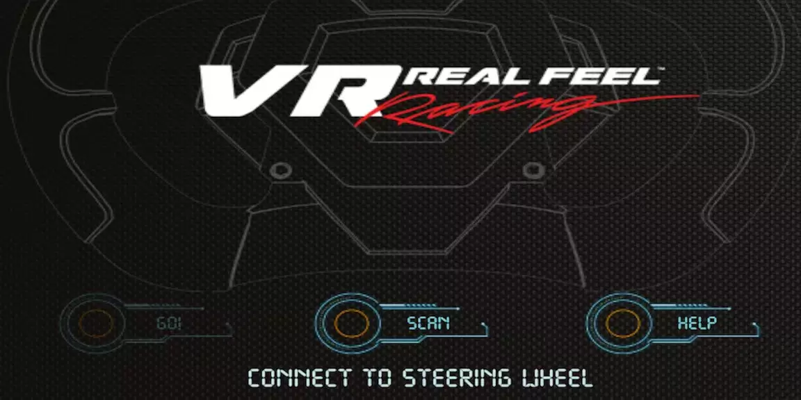 VR Real Feel Racing Скриншот 0