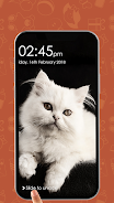 Kitty Cat Pin Lock Screen 螢幕截圖 1