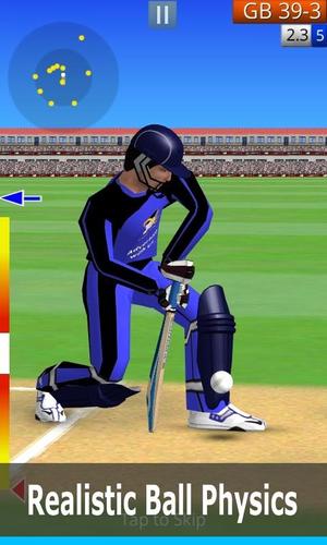 Smashing Cricket 螢幕截圖 2