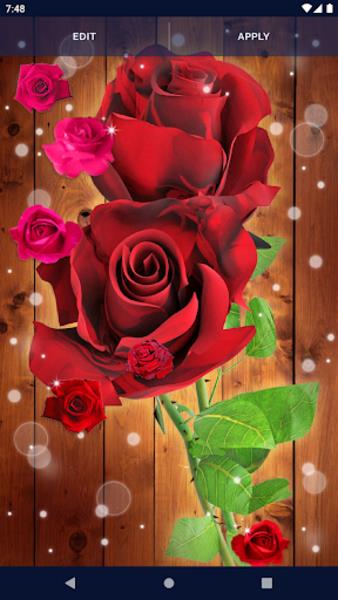 Red Rose Live Wallpaper 스크린샷 3