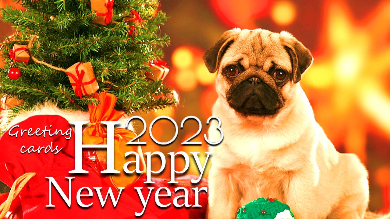 Happy NewYear Wishes ဖန်သားပြင်ဓာတ်ပုံ 0