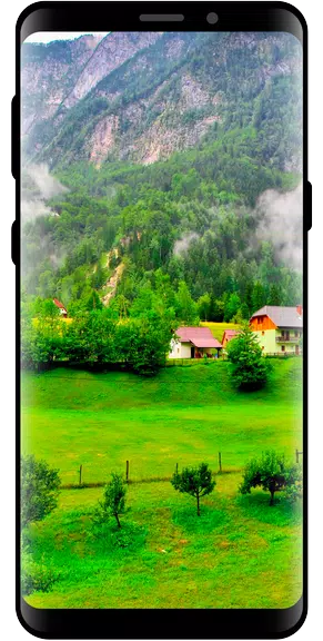10000 Nature Wallpapers应用截图第1张