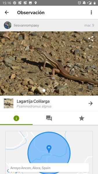 iNaturalist Screenshot 2