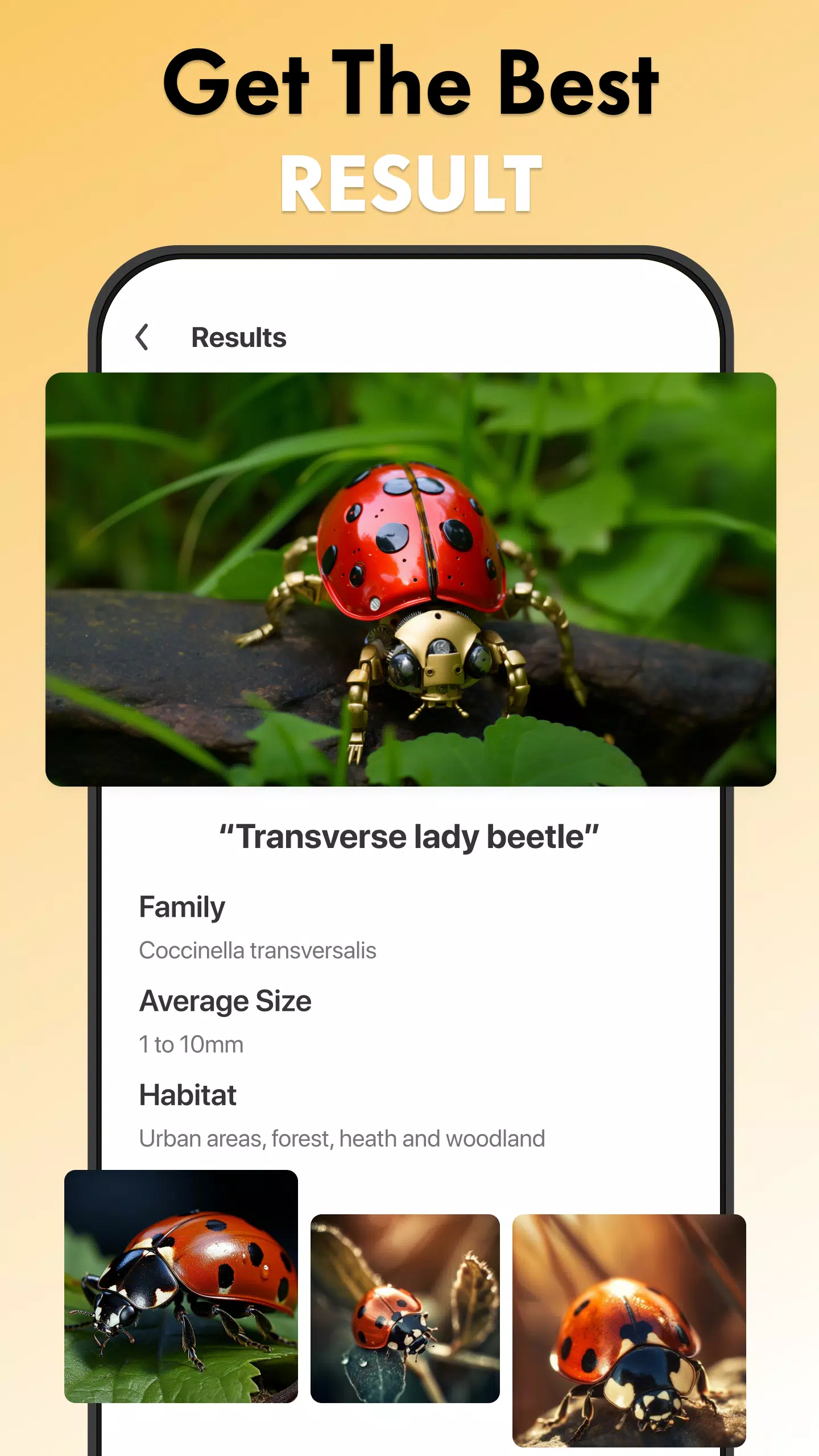 Insect Identifier Bug Identify スクリーンショット 2