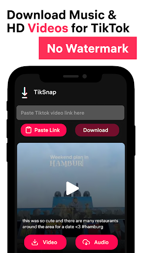 TikSnap: Downloader for TikTok Schermafbeelding 0