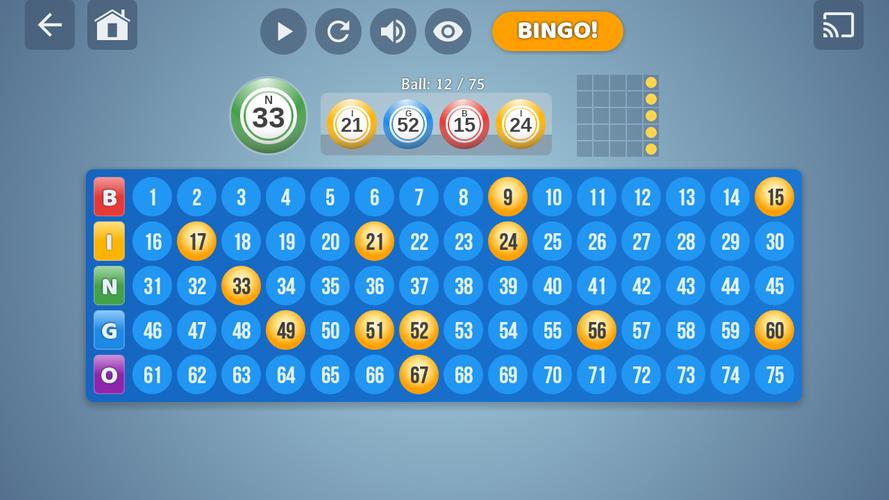 Bingo Set Captura de tela 3