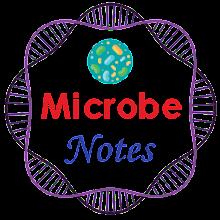 Microbe Notes